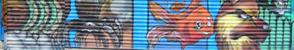 photographie_murale_graffiti_artiste_graffiteur