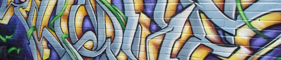 photographie murale graffiti artiste graffiteur art