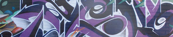 photographie murale graffiti artiste zeck graffiteur art